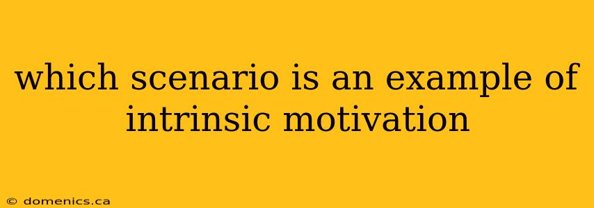 which scenario is an example of intrinsic motivation