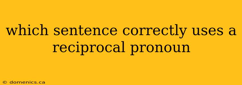 which sentence correctly uses a reciprocal pronoun