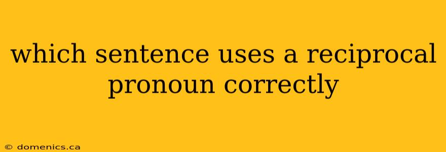 which sentence uses a reciprocal pronoun correctly