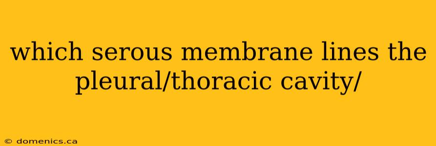 which serous membrane lines the pleural/thoracic cavity/