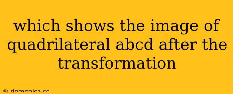 which shows the image of quadrilateral abcd after the transformation