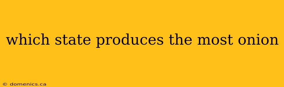 which state produces the most onion