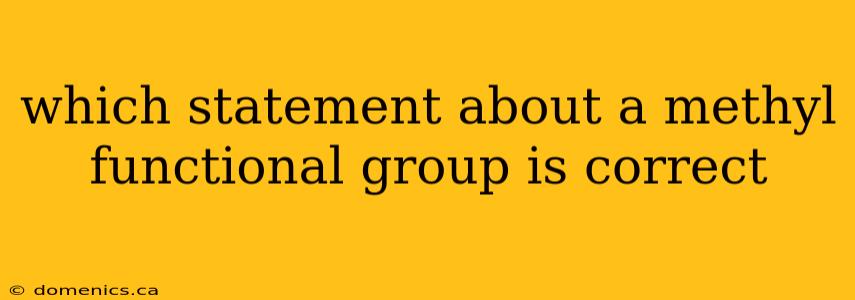 which statement about a methyl functional group is correct