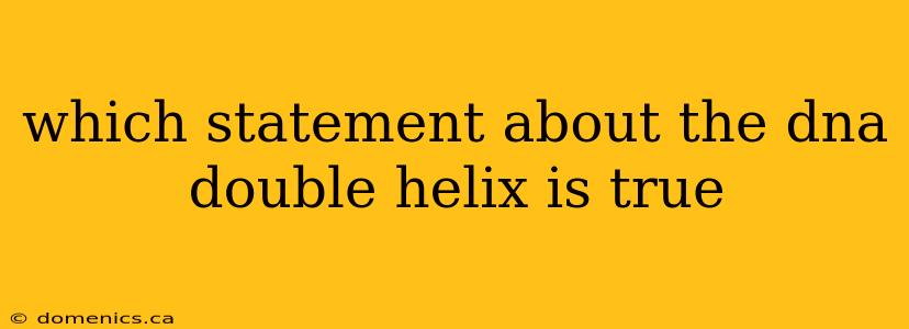 which statement about the dna double helix is true