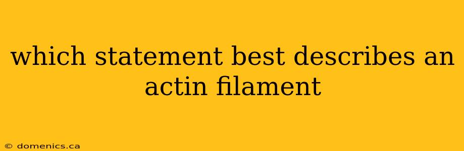 which statement best describes an actin filament