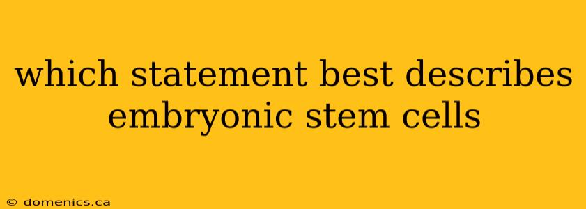 which statement best describes embryonic stem cells