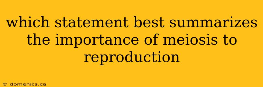 which statement best summarizes the importance of meiosis to reproduction