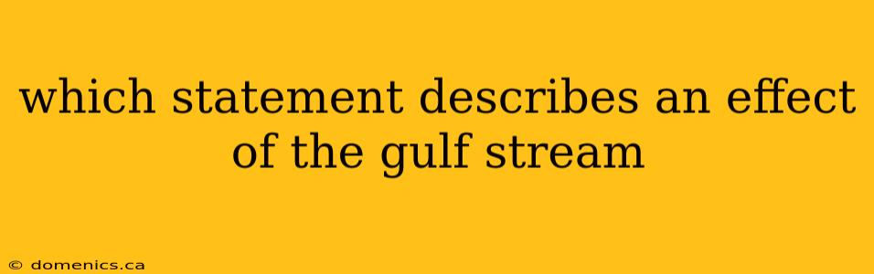 which statement describes an effect of the gulf stream