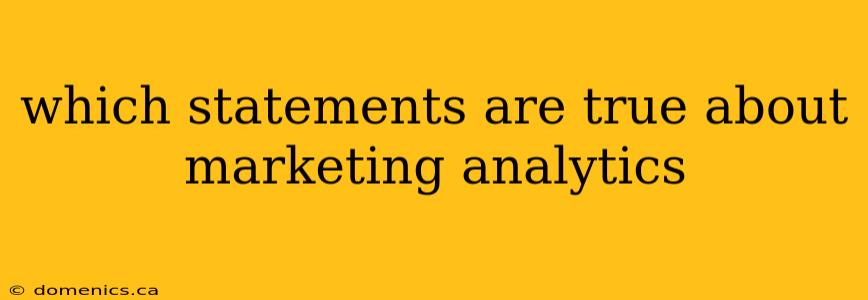 which statements are true about marketing analytics