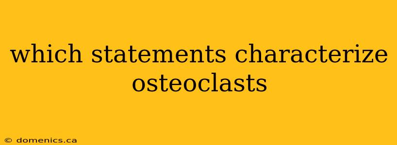 which statements characterize osteoclasts