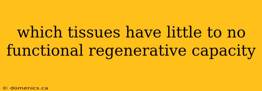 which tissues have little to no functional regenerative capacity