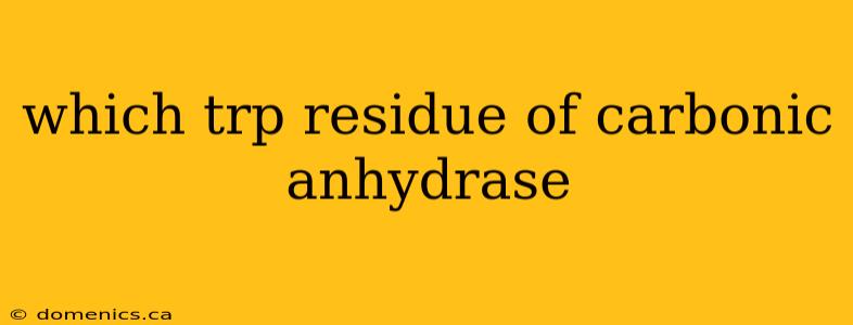 which trp residue of carbonic anhydrase