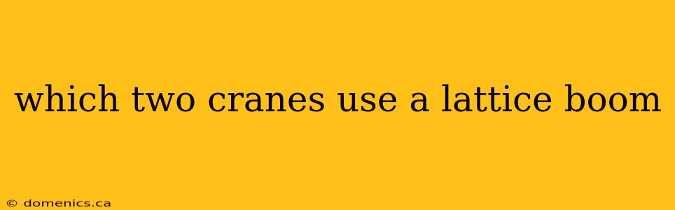 which two cranes use a lattice boom