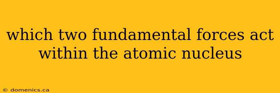 which two fundamental forces act within the atomic nucleus