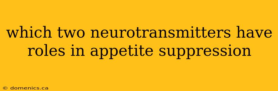 which two neurotransmitters have roles in appetite suppression