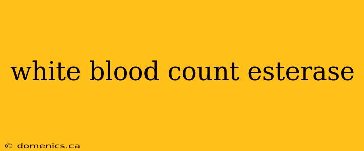 white blood count esterase