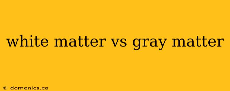 white matter vs gray matter