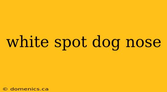 white spot dog nose