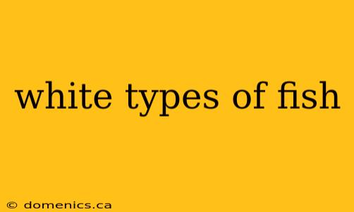 white types of fish