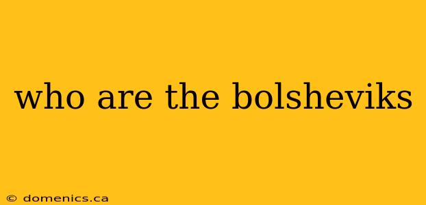 who are the bolsheviks