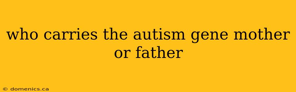 who carries the autism gene mother or father