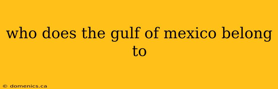 who does the gulf of mexico belong to