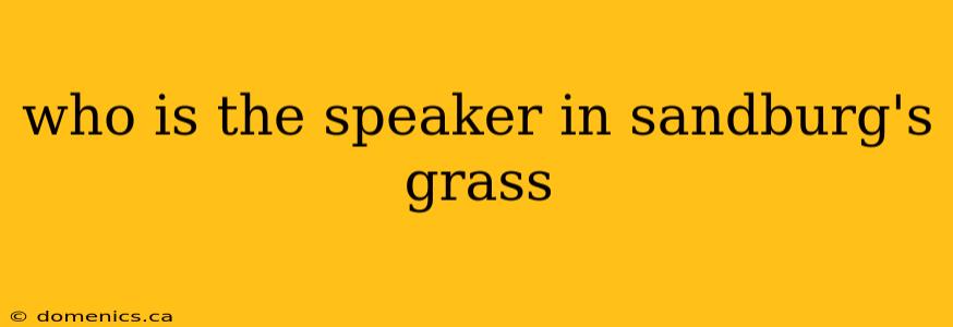 who is the speaker in sandburg's grass