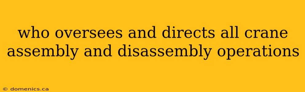 who oversees and directs all crane assembly and disassembly operations