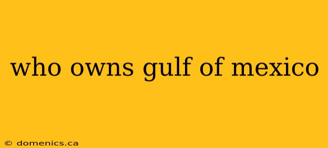 who owns gulf of mexico