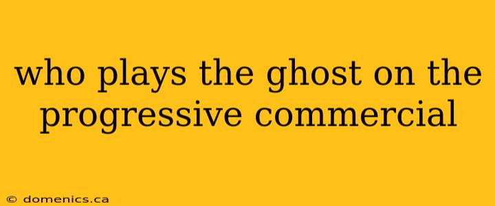 who plays the ghost on the progressive commercial