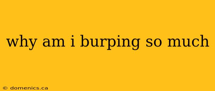 why am i burping so much