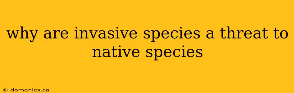 why are invasive species a threat to native species