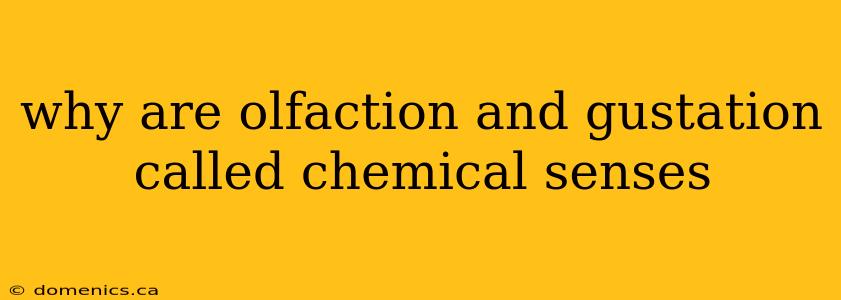 why are olfaction and gustation called chemical senses