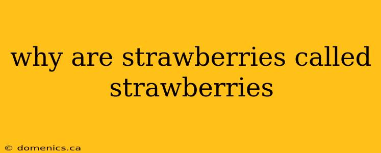 why are strawberries called strawberries