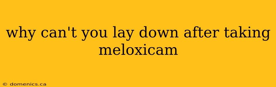 why can't you lay down after taking meloxicam