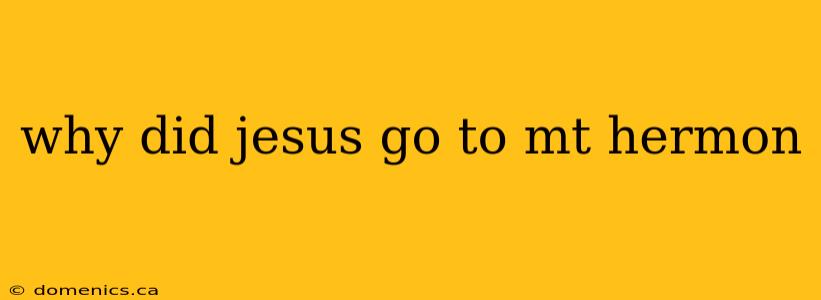 why did jesus go to mt hermon