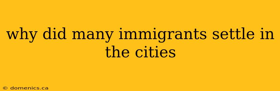 why did many immigrants settle in the cities