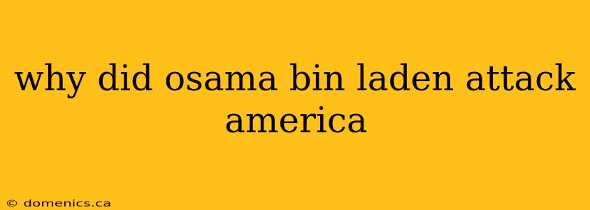 why did osama bin laden attack america