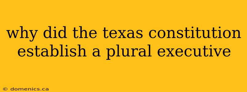 why did the texas constitution establish a plural executive