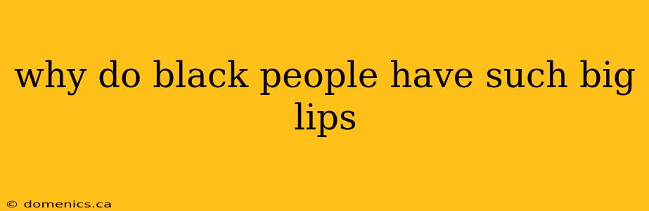 why do black people have such big lips