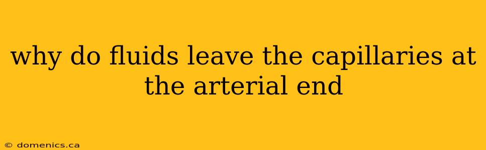 why do fluids leave the capillaries at the arterial end