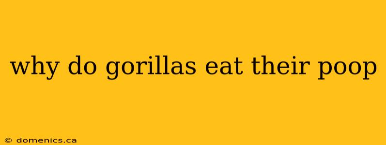 why do gorillas eat their poop