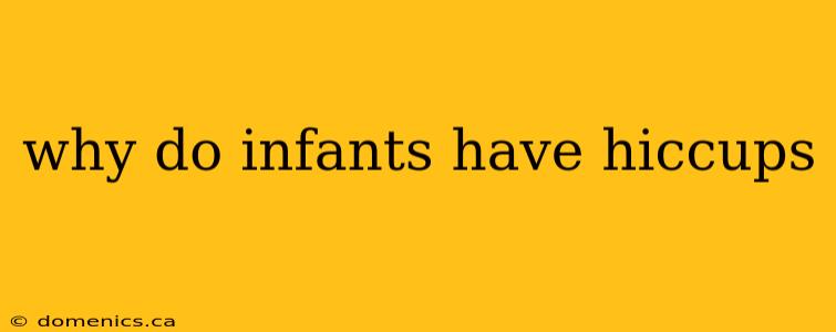 why do infants have hiccups