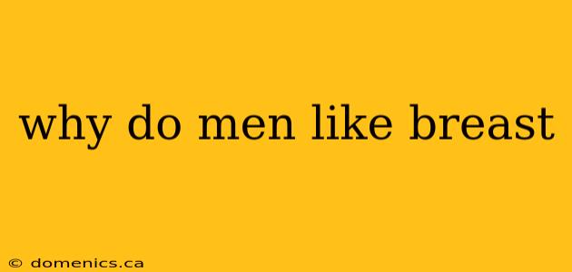 why do men like breast