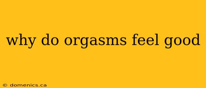 why do orgasms feel good