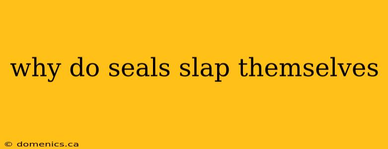 why do seals slap themselves