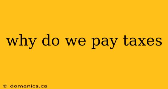 why do we pay taxes