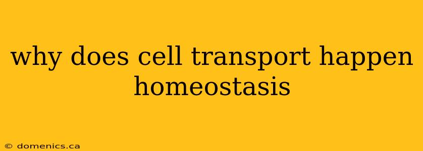 why does cell transport happen homeostasis