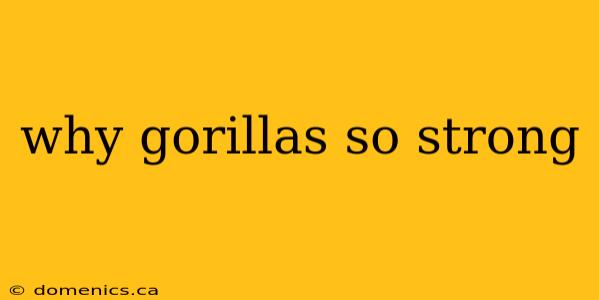 why gorillas so strong