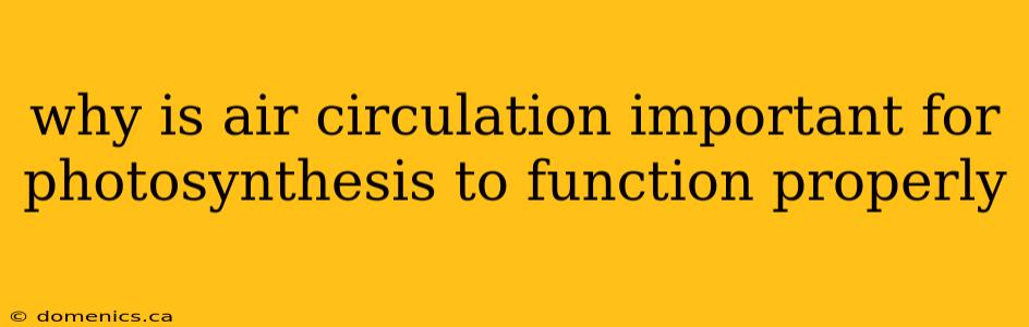 why is air circulation important for photosynthesis to function properly